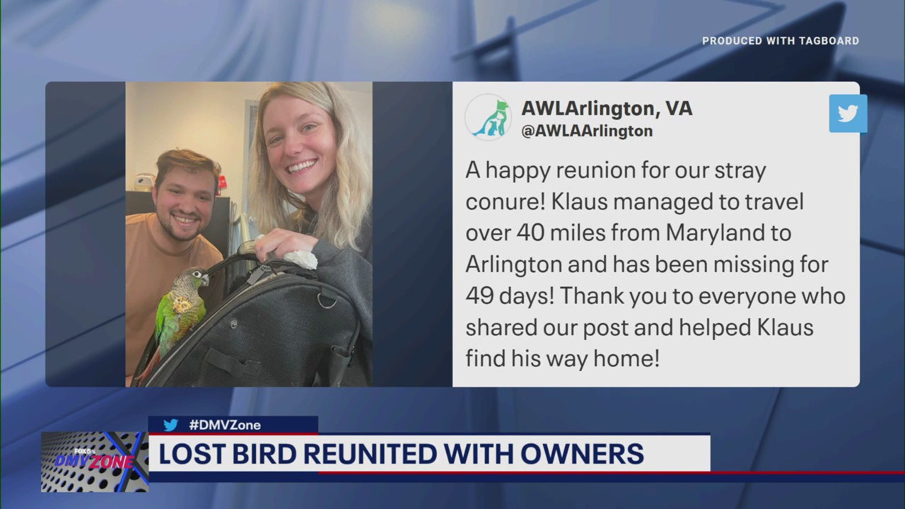 Lost bird reunited with owners