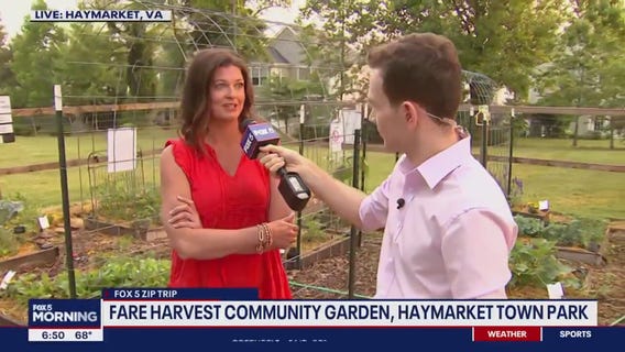 Haymarket?s Fare Harvest Community Garden