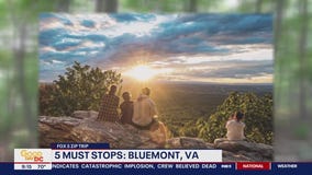 5 Things to Do In Bluemont