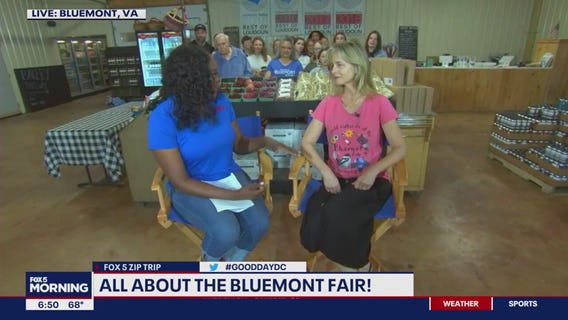 Fun for all at the Bluemont Fair!