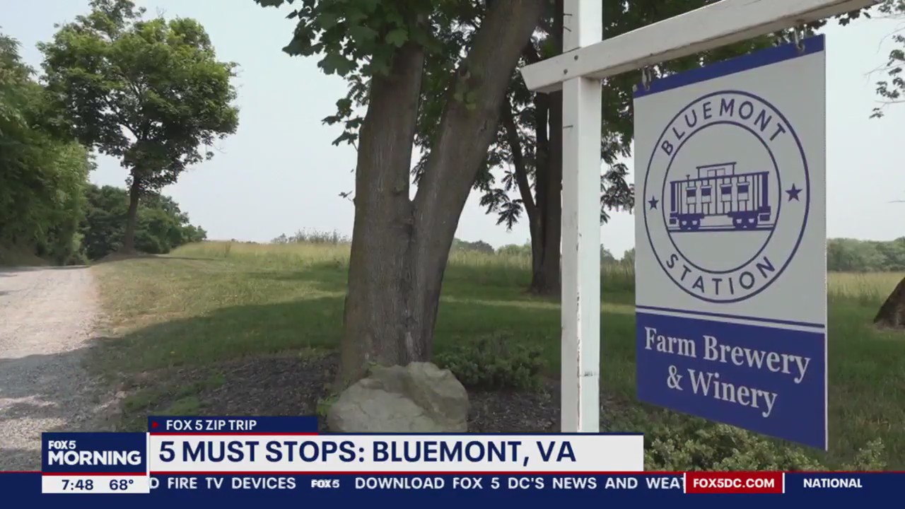 FOX 5 Zip Trip Bluemont: 5 Must Stops