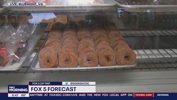 Apple cider donuts in Bluemont!