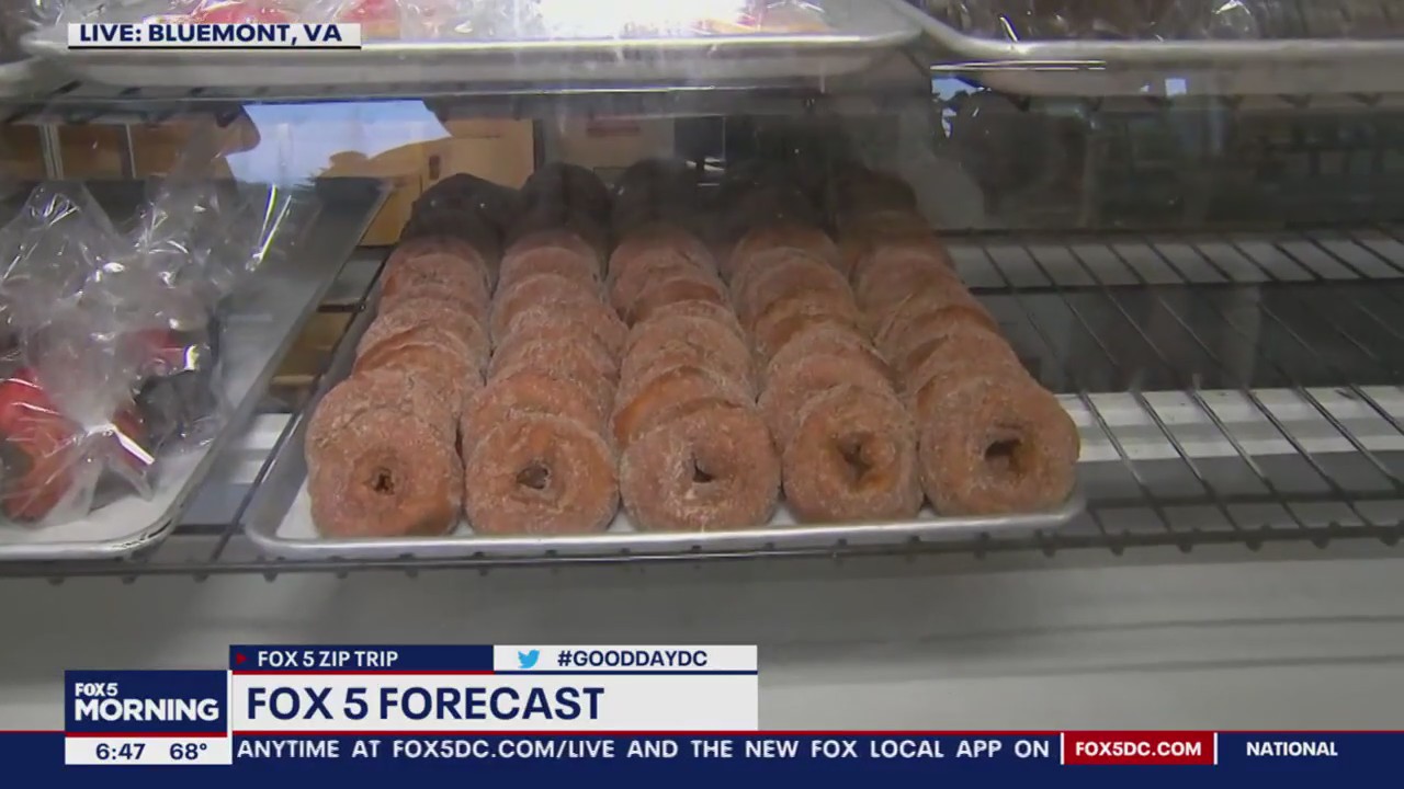 Apple cider donuts in Bluemont!