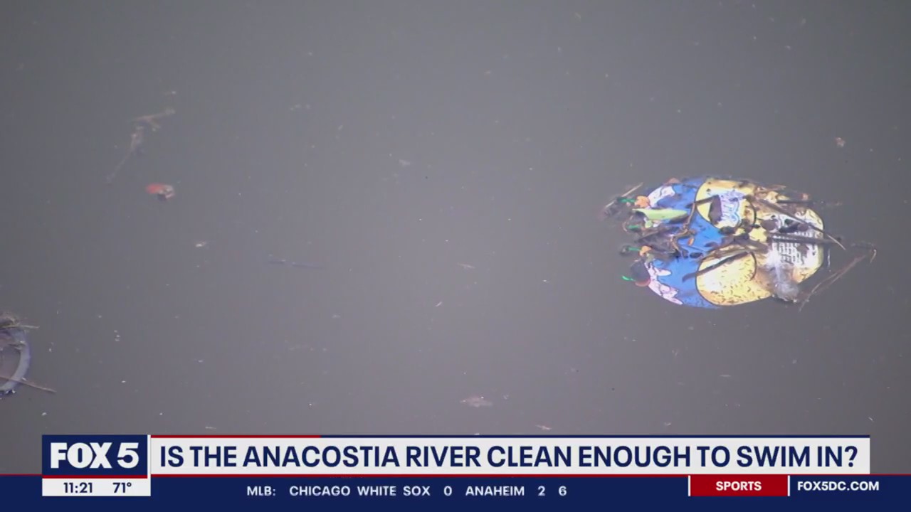 Anacostia River opens to swimmers | FOX 5 DC