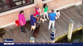 Forever Home Friday in Annapolis!