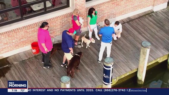 Forever Home Friday in Annapolis!