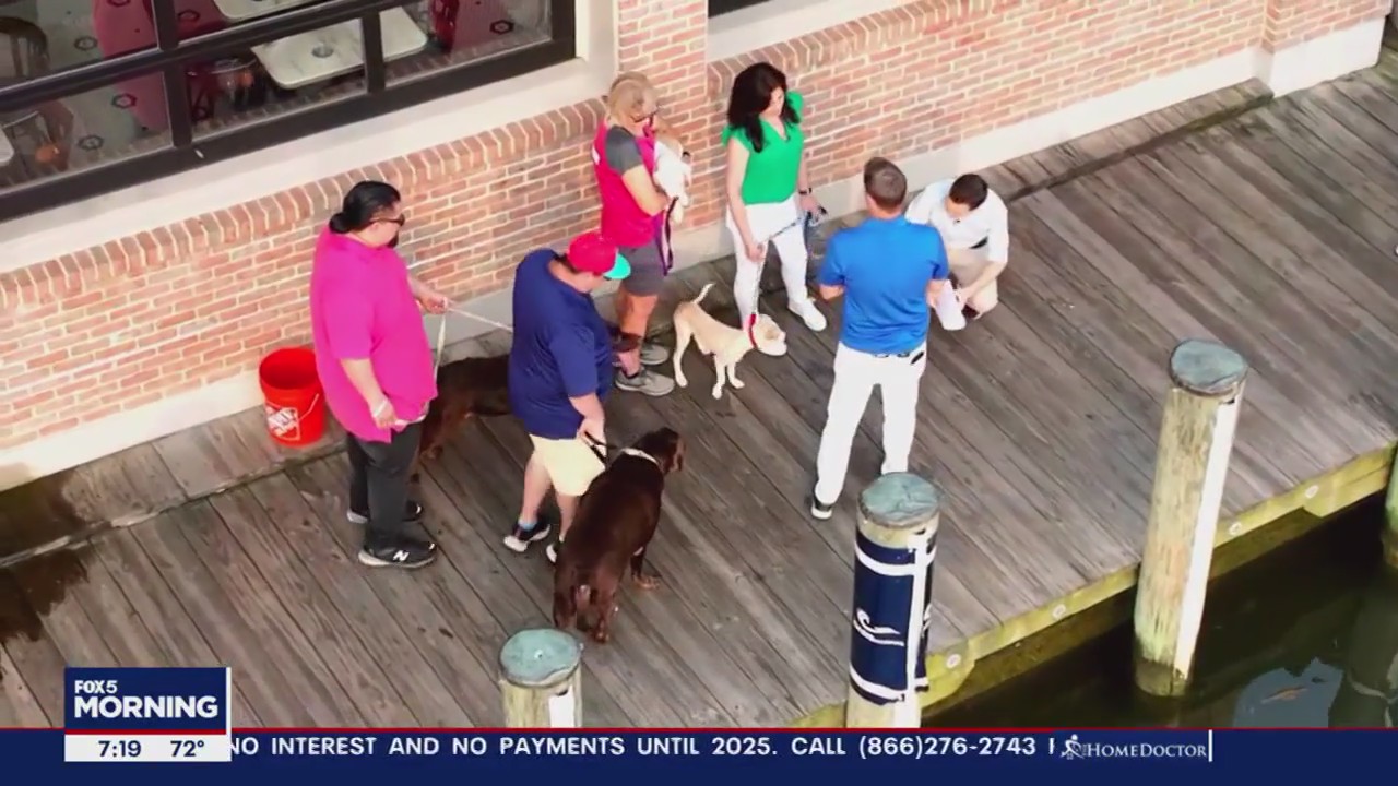 Forever Home Friday in Annapolis!