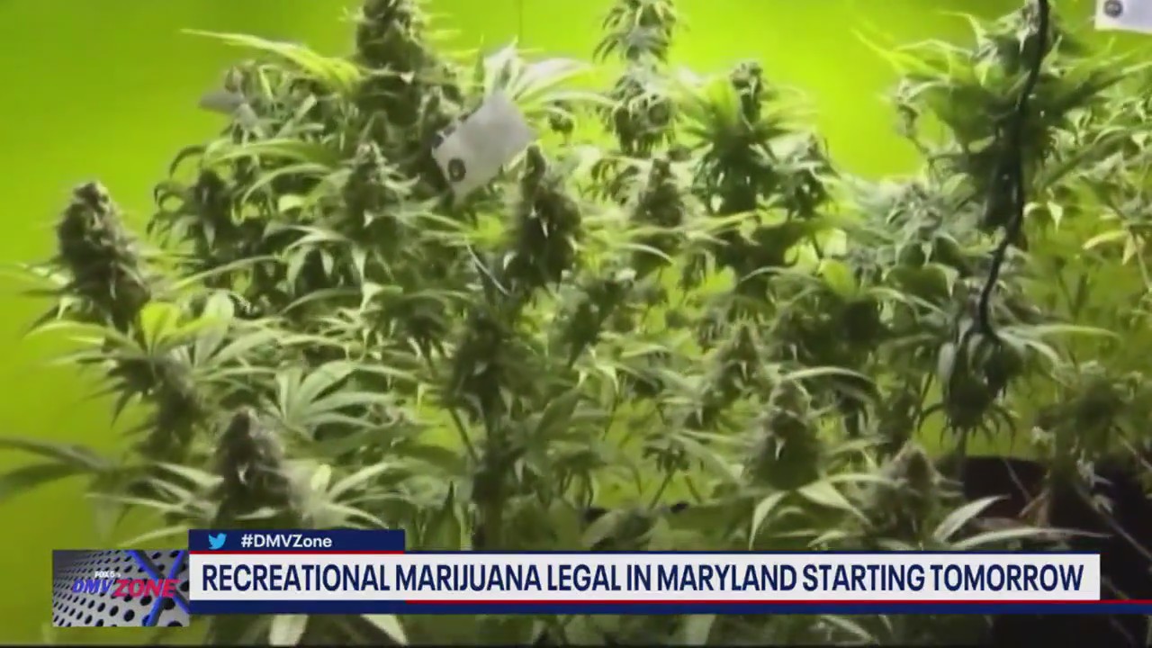 Recreational marijuana legal in Maryland starting tomorrow