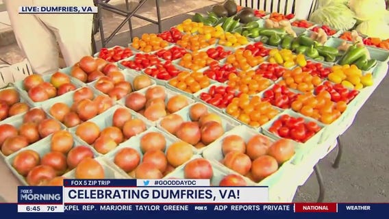 Fresh produce from Dumfries!