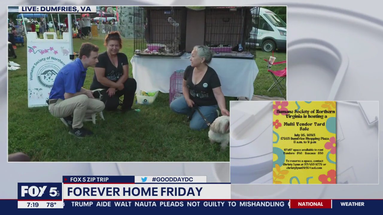 Forever Home Friday from Dumfries!