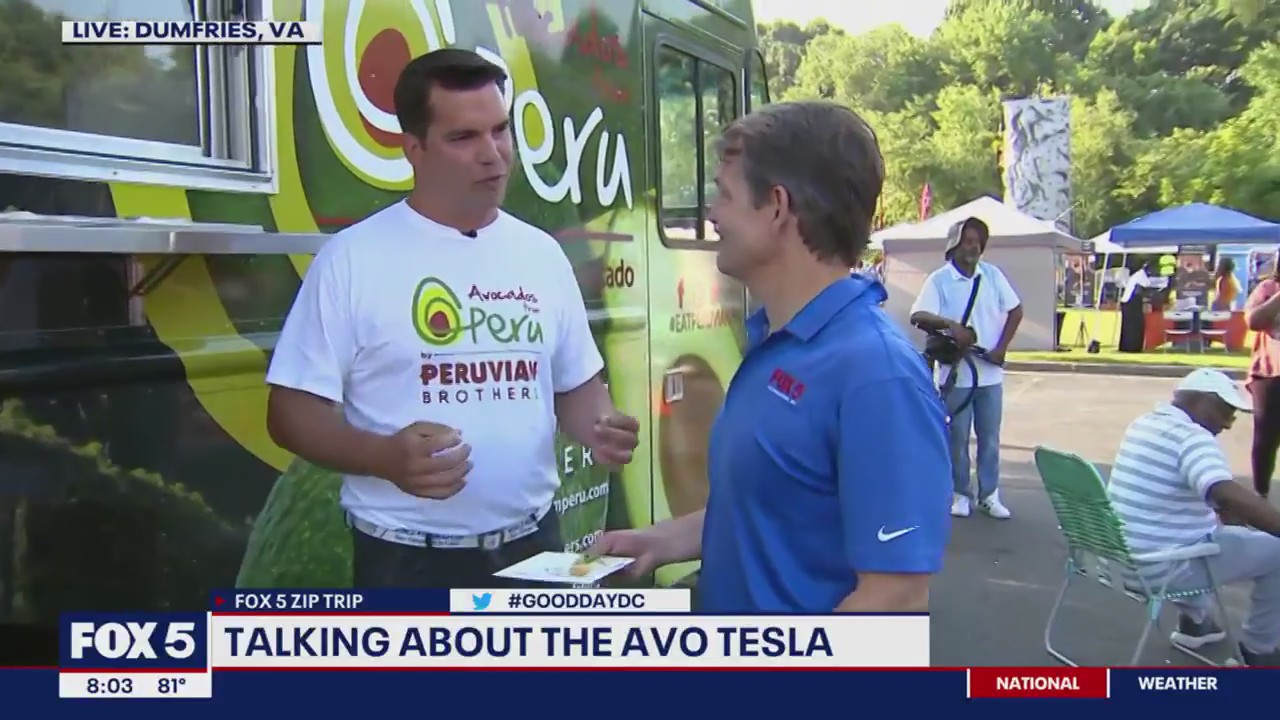 Talking all about the AVO Tesla!