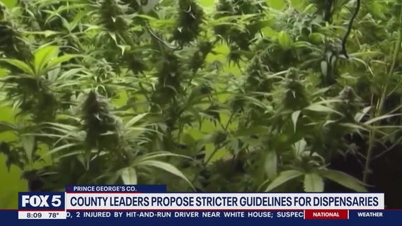 Stricter regulations for marijuana dispensaries proposed