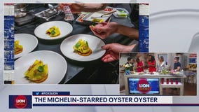 Spotlight on Oyster Oyster