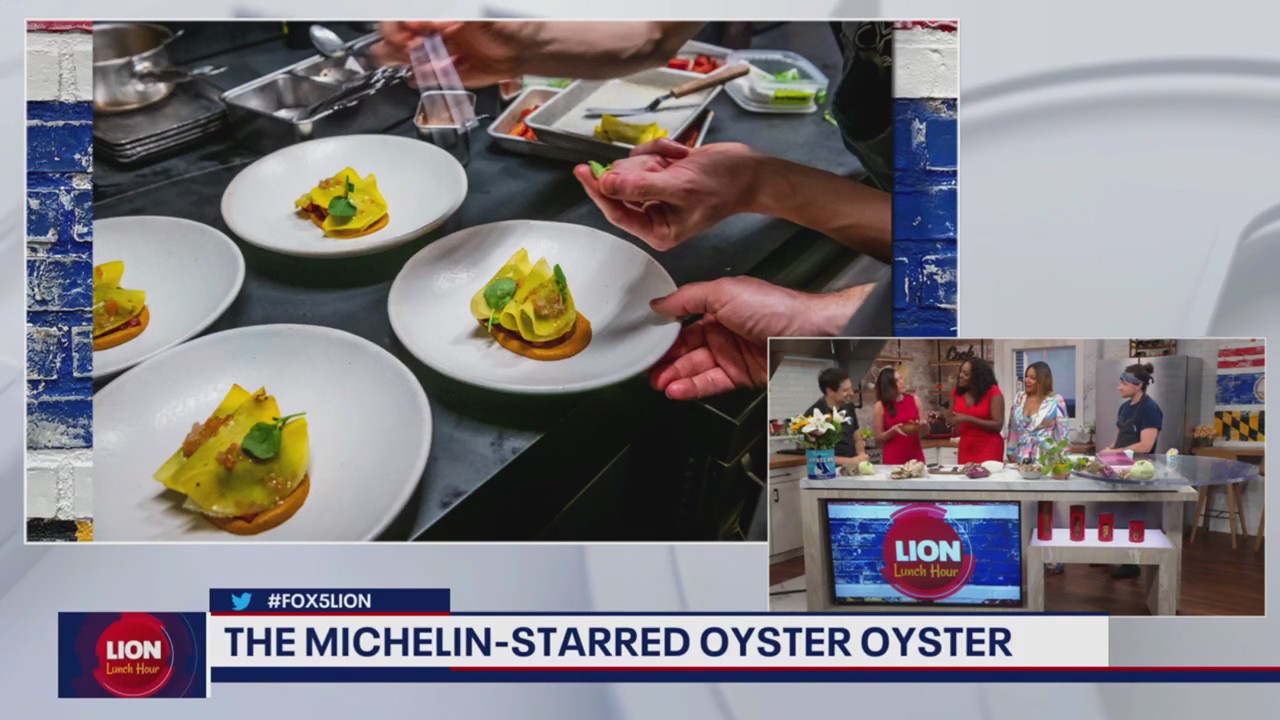 Spotlight on Oyster Oyster