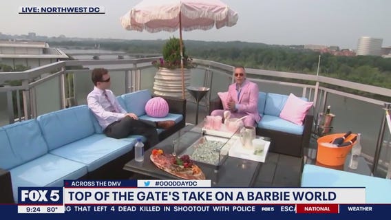 Barbie World Pink Dream Lounge at Top of the Gate