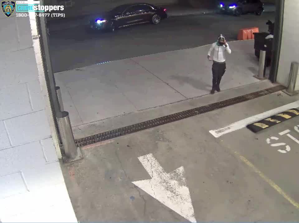 NYPD seeking gunman who killed filmmaker in Queens | FOX 5 New York