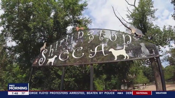 5 Things to Do In Shirlington