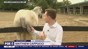 Matthew Cappucci gets up close and personal with the horses at Meadowbrook Stables!