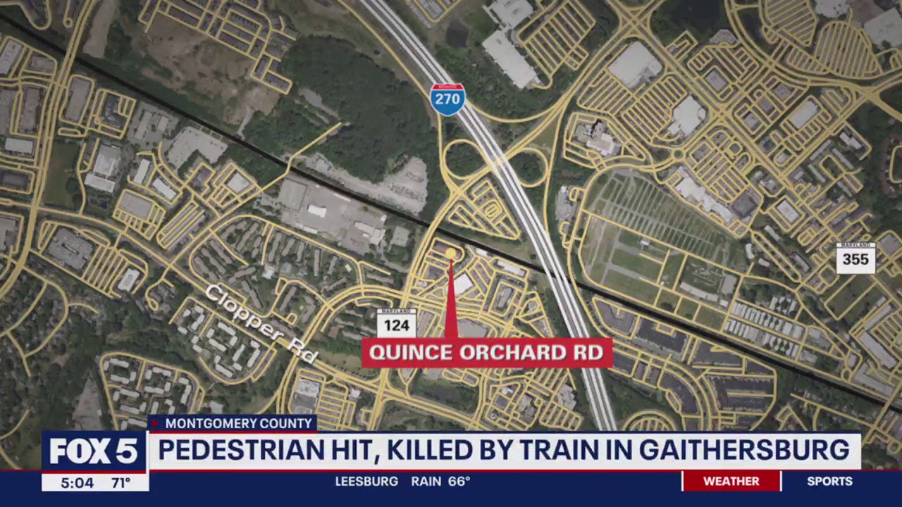 Pedestrian hit, killed by train | FOX 5 DC