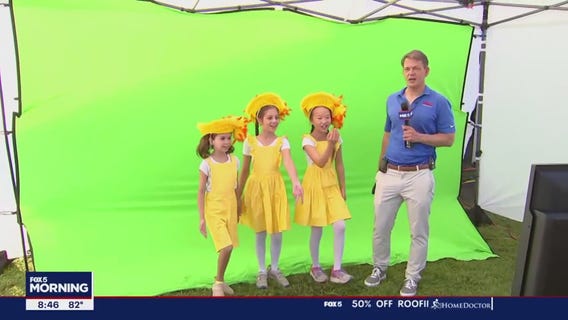 The ducklings from 'Honk!' help Tucker with the weather