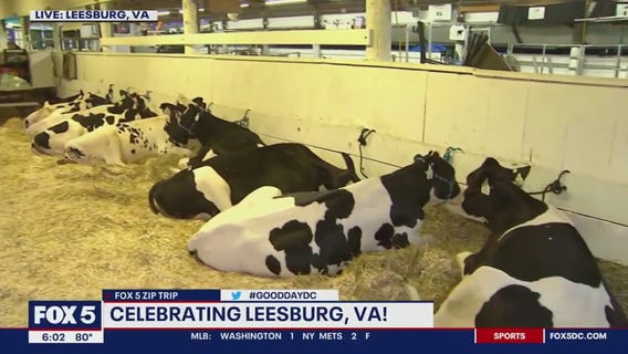 Good morning from Leesburg!