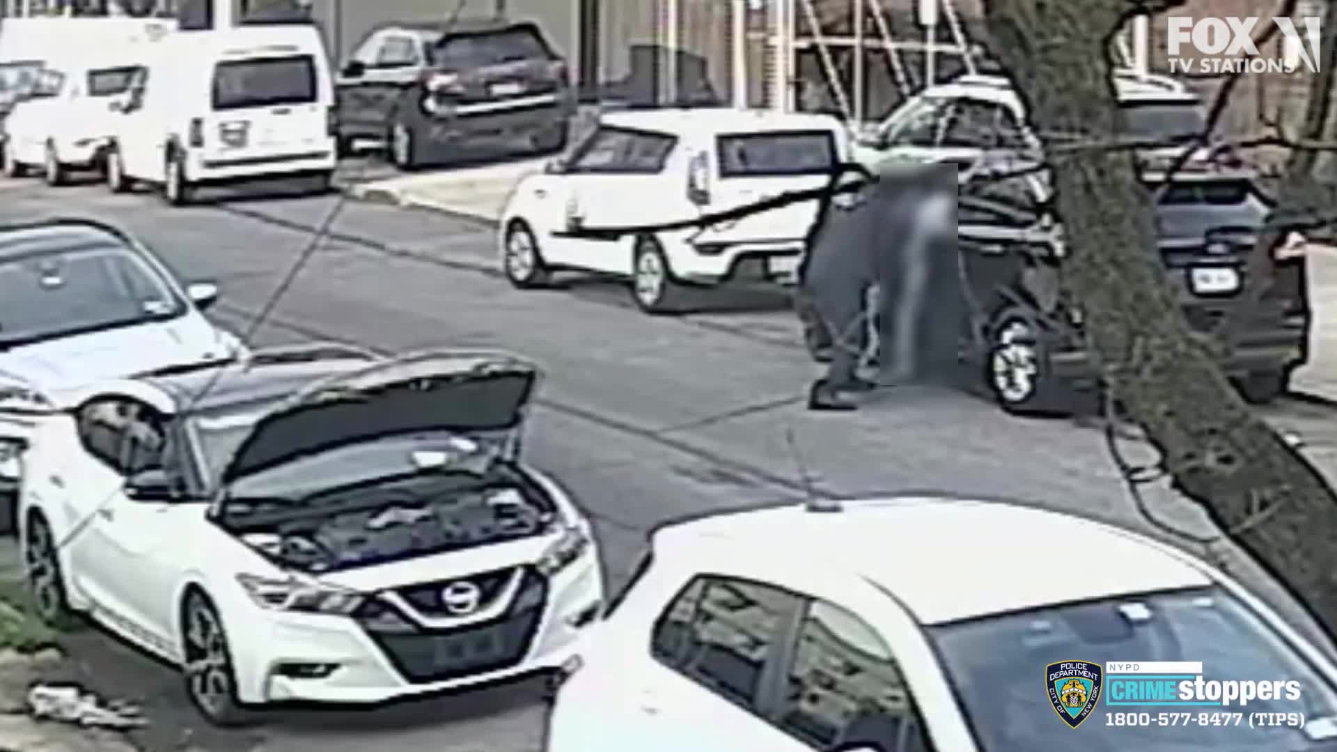 Queens assassination | FOX 5 New York
