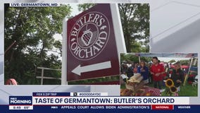 Taste of Butler's Orchard