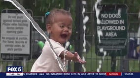 5 Things to Do In Potomac Yard