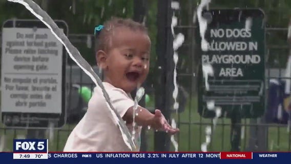 5 Things to Do In Potomac Yard