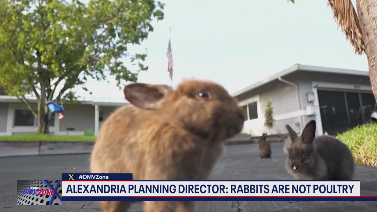 Rabbits were sold at a live butcher in Virginia