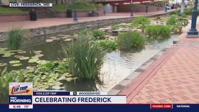 Carroll Creek in Frederick!