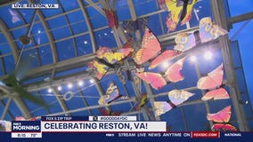 Celebrating Reston!