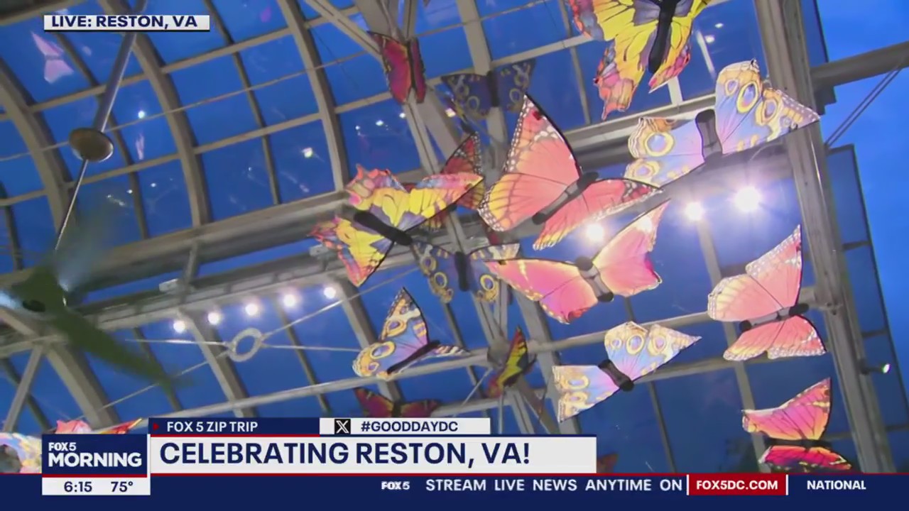Celebrating Reston!
