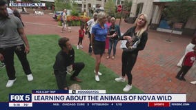 Animals Of NOVA Wild