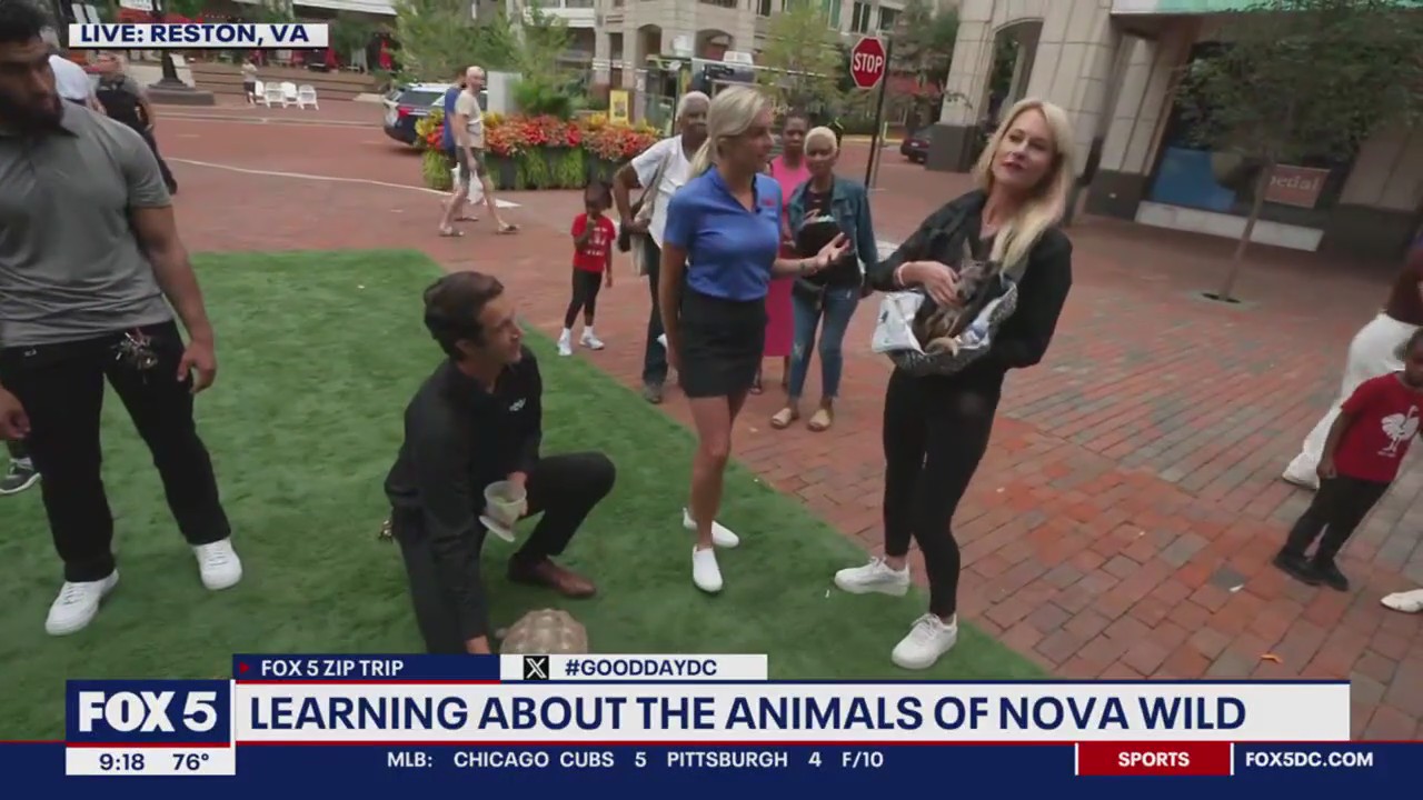 Animals Of NOVA Wild