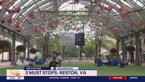 FOX 5 Zip Trip to Reston!
