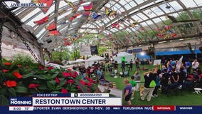 Fun with friends in Reston!