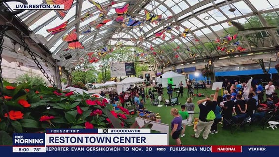 Fun with friends in Reston!