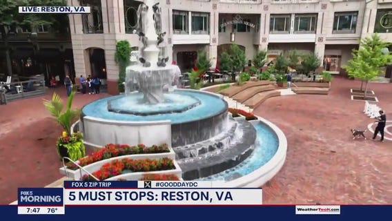 5 Things to Do In Reston