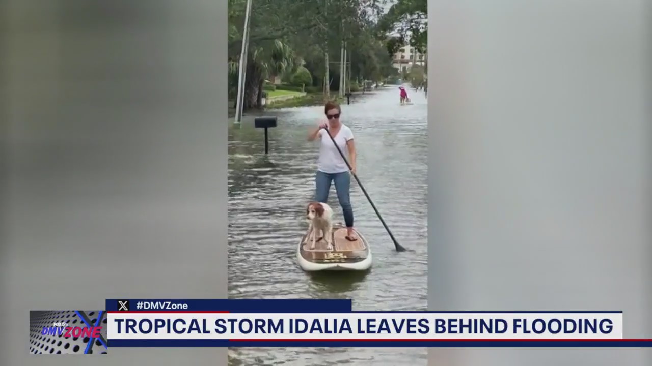 Tropical storm Idalia leaves behind flooding