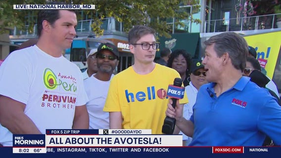 All about the Avotesla!