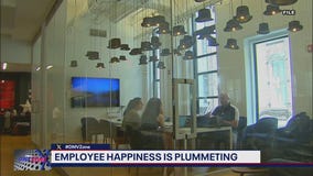 Employee happiness is plummeting