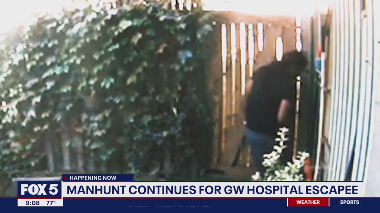 Security video shows murder suspect who escaped GW Hospital jump into ...