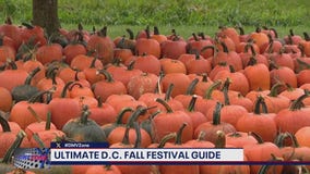 The ultimate DC fall festival guide