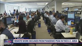 Remote work in DC on the decline