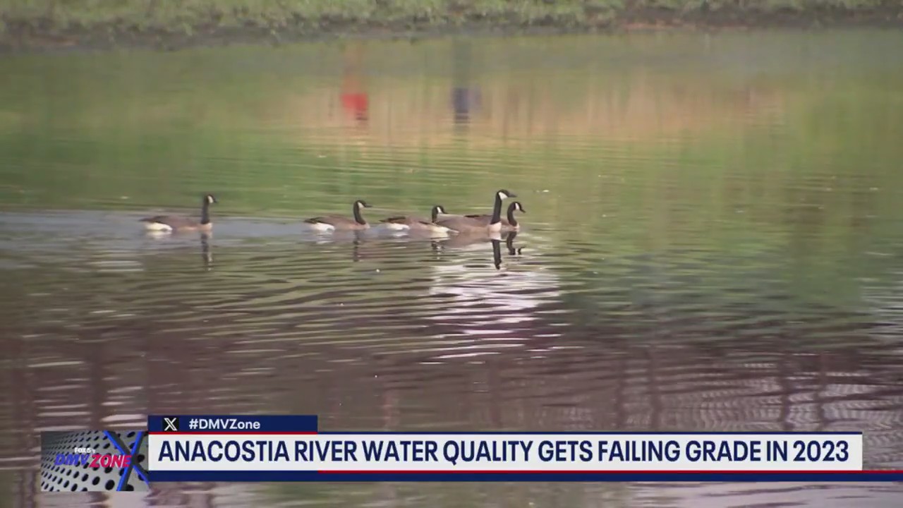 Anacostia River fails water quality test | FOX 5 DC