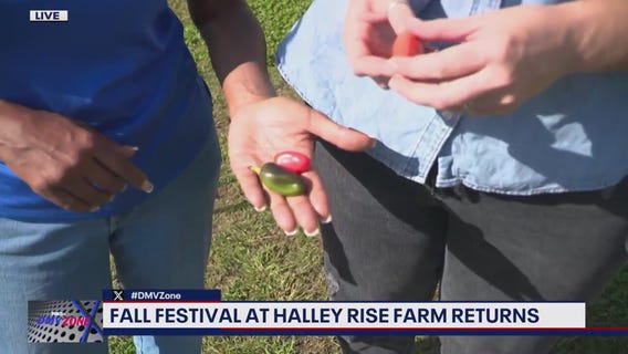 Halley Rise Farm Fall Festival is here!