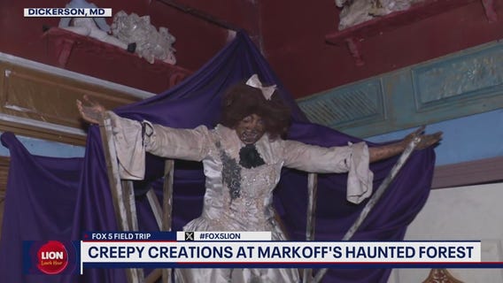 New thrills and scares at Markoff's Haunted Forest