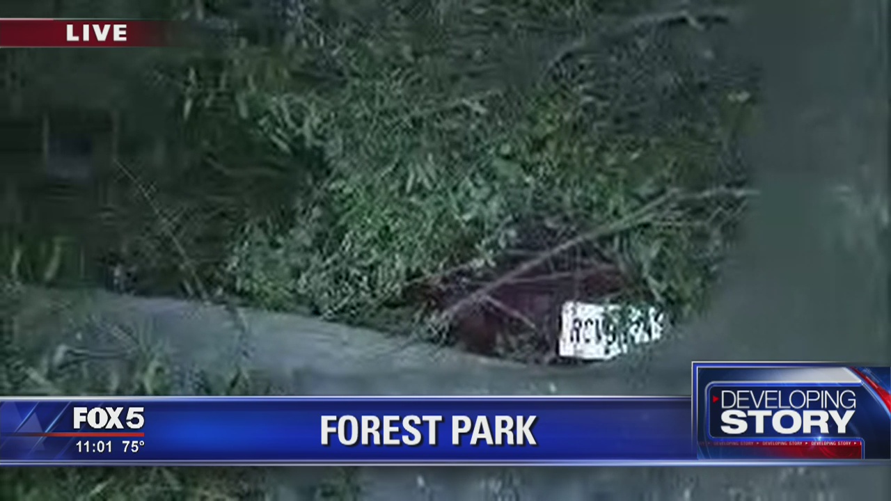 Fallen tree traps residents | FOX 5 Atlanta