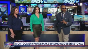 New program makes birding accessible to colorblind